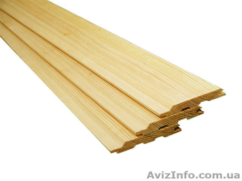 Лиственница сибирская Ивано-Франковск Украина - <ro>Изображение</ro><ru>Изображение</ru> #1, <ru>Объявление</ru> #153146