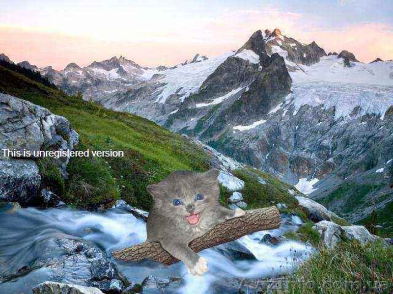 Гарячы тури в Карпати, Крим, моря світу від Тур агентства "Koshka" - <ro>Изображение</ro><ru>Изображение</ru> #1, <ru>Объявление</ru> #711505