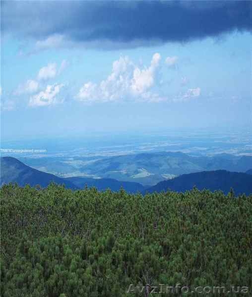 Гарячы тури в Карпати, Крим, моря світу від Тур агентства "Koshka" - <ro>Изображение</ro><ru>Изображение</ru> #6, <ru>Объявление</ru> #711505