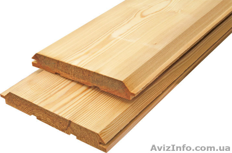 Лиственница сибирская Ивано-Франковск Украина - <ro>Изображение</ro><ru>Изображение</ru> #4, <ru>Объявление</ru> #153146