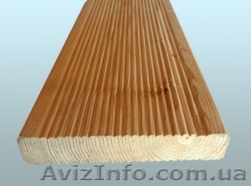 Лиственница сибирская Ивано-Франковск Украина - <ro>Изображение</ro><ru>Изображение</ru> #3, <ru>Объявление</ru> #153146