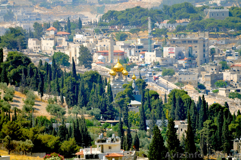 Гарячы тури в Карпати, Крим, моря світу від Тур агентства "Koshka" - <ro>Изображение</ro><ru>Изображение</ru> #8, <ru>Объявление</ru> #711505