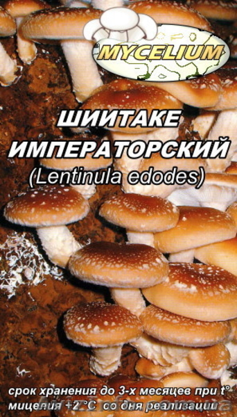 Купить продажа мицелий вешенки, шампиньона Недорого! Міцелій гливи, печериці - <ro>Изображение</ro><ru>Изображение</ru> #3, <ru>Объявление</ru> #735544