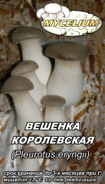 Купить продажа мицелий вешенки, шампиньона Недорого! Міцелій гливи, печериці - <ro>Изображение</ro><ru>Изображение</ru> #5, <ru>Объявление</ru> #735544