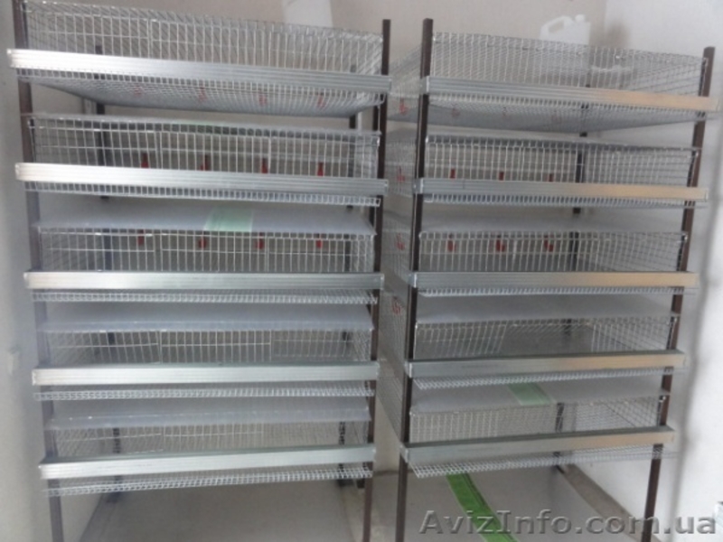 Оборудование для кролиководства, клетки для кроликов в Украине - <ro>Изображение</ro><ru>Изображение</ru> #2, <ru>Объявление</ru> #775344