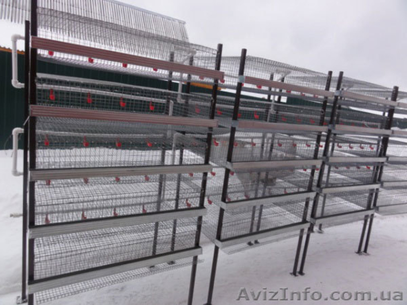 Оборудование для кролиководства, клетки для кроликов в Украине - <ro>Изображение</ro><ru>Изображение</ru> #1, <ru>Объявление</ru> #775344