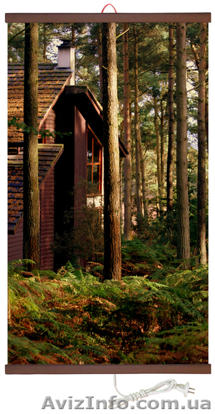 Электрообогреватель греющая картина - <ro>Изображение</ro><ru>Изображение</ru> #1, <ru>Объявление</ru> #774629