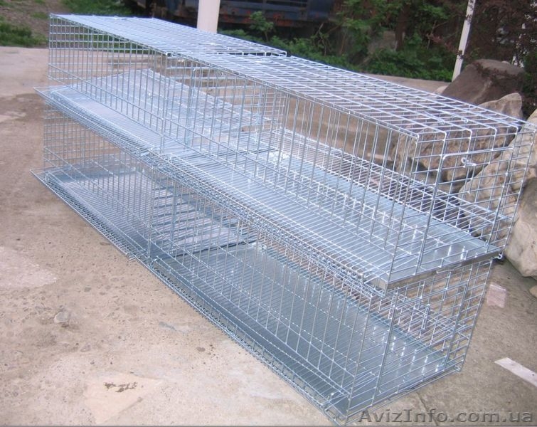 Клетка для  перепелов  - <ro>Изображение</ro><ru>Изображение</ru> #1, <ru>Объявление</ru> #894879