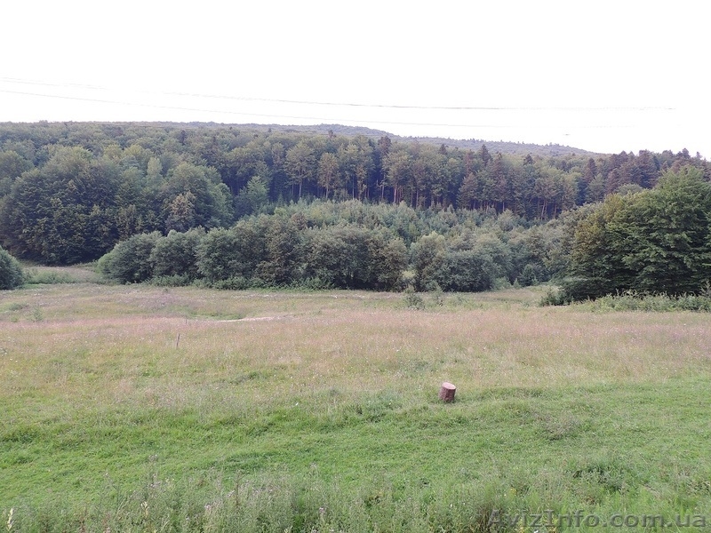 Продам участок в Карпатах - Пистынь, 50 соток - <ro>Изображение</ro><ru>Изображение</ru> #1, <ru>Объявление</ru> #998275