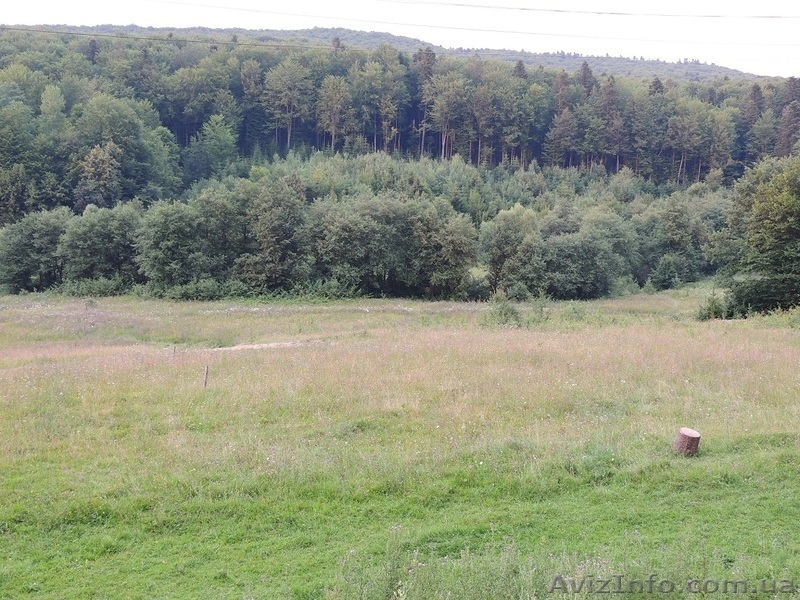 Продам участок в Карпатах - Пистынь, 50 соток - <ro>Изображение</ro><ru>Изображение</ru> #2, <ru>Объявление</ru> #998275