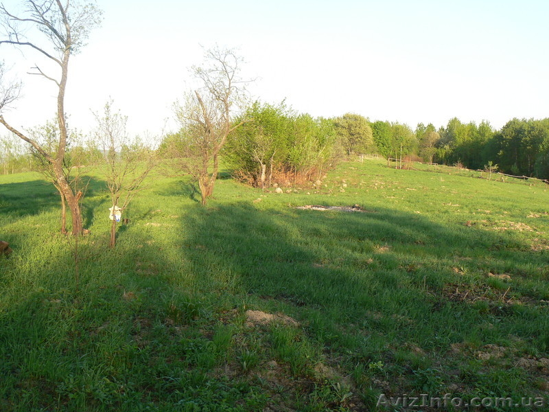 Продам земельну ділянку 0.68г. село Вербовець, (Хімчинська) Косівський район. - <ro>Изображение</ro><ru>Изображение</ru> #2, <ru>Объявление</ru> #1011192