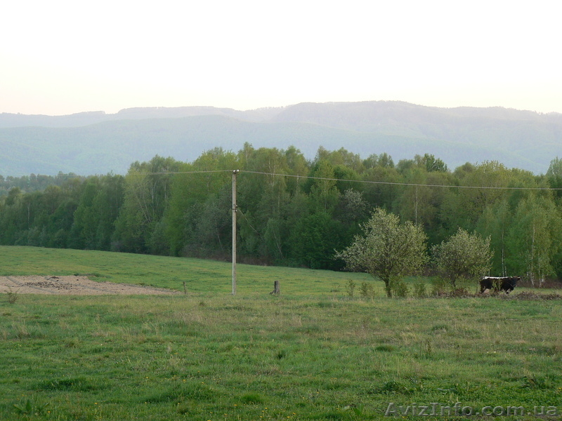 Продам деревяний будинок площею 50м.кв. земельна ділянка 0.48г. - <ro>Изображение</ro><ru>Изображение</ru> #4, <ru>Объявление</ru> #1011187