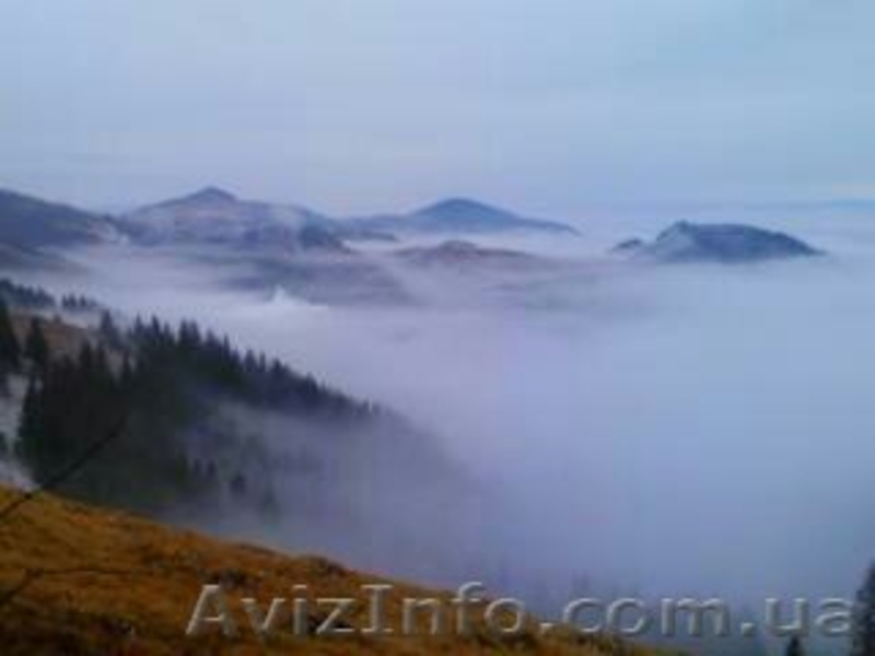 Отдых в Карпатах на любой вкус. - <ro>Изображение</ro><ru>Изображение</ru> #2, <ru>Объявление</ru> #1104663