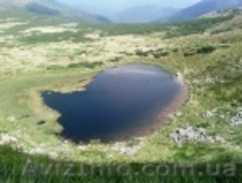 Отдых в Карпатах на любой вкус. - <ro>Изображение</ro><ru>Изображение</ru> #3, <ru>Объявление</ru> #1104663