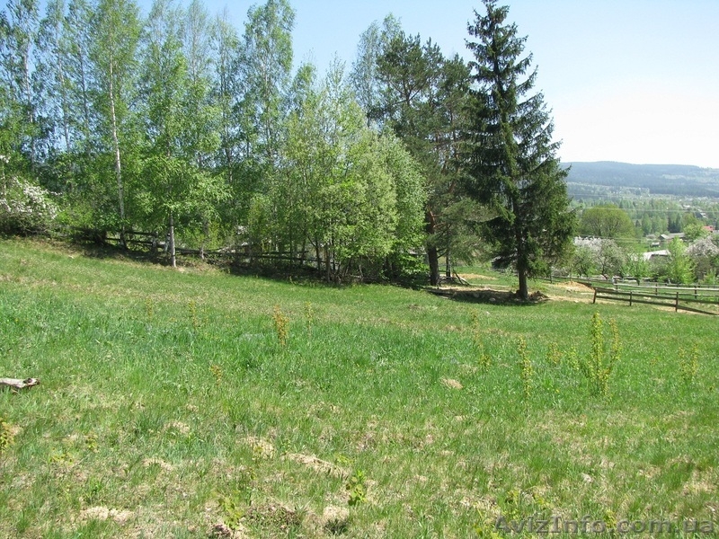 Продам хороший участок в Карпатах - Микуличин, 30 соток - <ro>Изображение</ro><ru>Изображение</ru> #3, <ru>Объявление</ru> #1102561