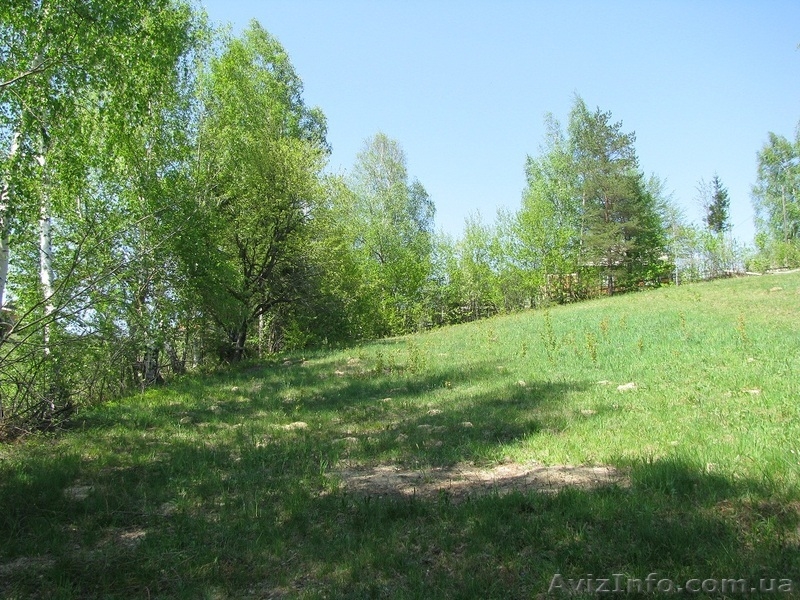 Продам хороший участок в Карпатах - Микуличин, 30 соток - <ro>Изображение</ro><ru>Изображение</ru> #2, <ru>Объявление</ru> #1102561