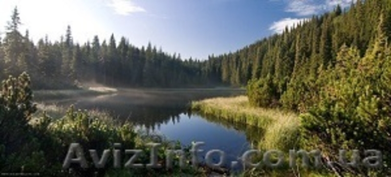 Відпочинок в Карпатах - <ro>Изображение</ro><ru>Изображение</ru> #2, <ru>Объявление</ru> #1286432