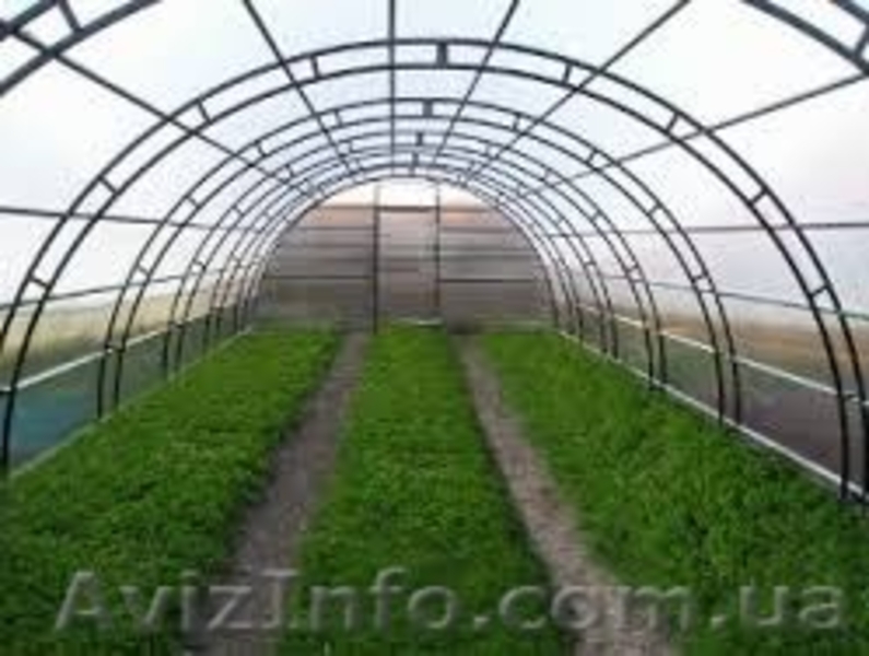 Теплицы от производителя. - <ro>Изображение</ro><ru>Изображение</ru> #4, <ru>Объявление</ru> #1510840