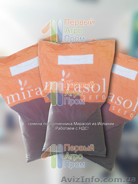 Семена подсолнечника для засушливых регионов - Mirasol seed - <ro>Изображение</ro><ru>Изображение</ru> #2, <ru>Объявление</ru> #1517401