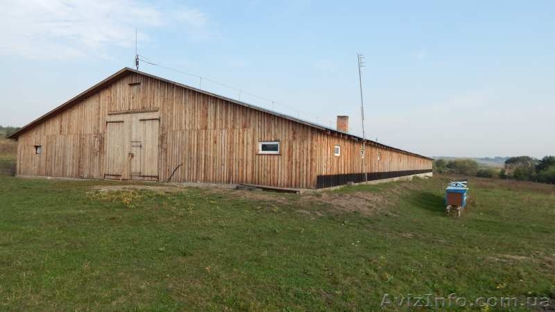 Ферма деревянная, построенная по европейскому проекту - <ro>Изображение</ro><ru>Изображение</ru> #3, <ru>Объявление</ru> #1526173