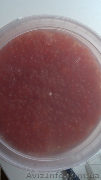 Икра красная лососевая (имитированная. высший сорт). От производителя. - <ro>Изображение</ro><ru>Изображение</ru> #3, <ru>Объявление</ru> #1533759