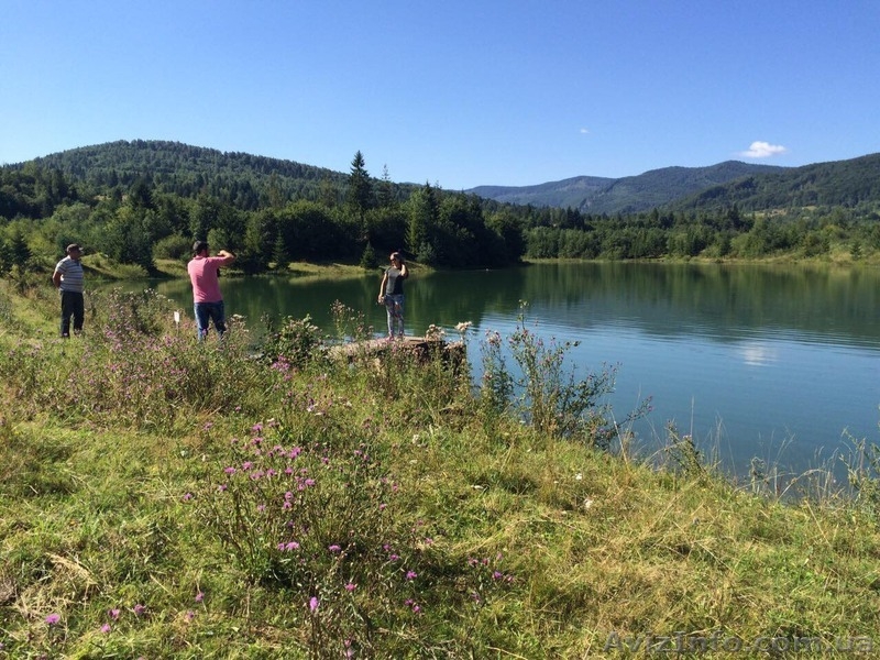 СРОЧНО!!! Продам форелевое хозяйство в Ивано-Франковская область. - <ro>Изображение</ro><ru>Изображение</ru> #6, <ru>Объявление</ru> #1563036
