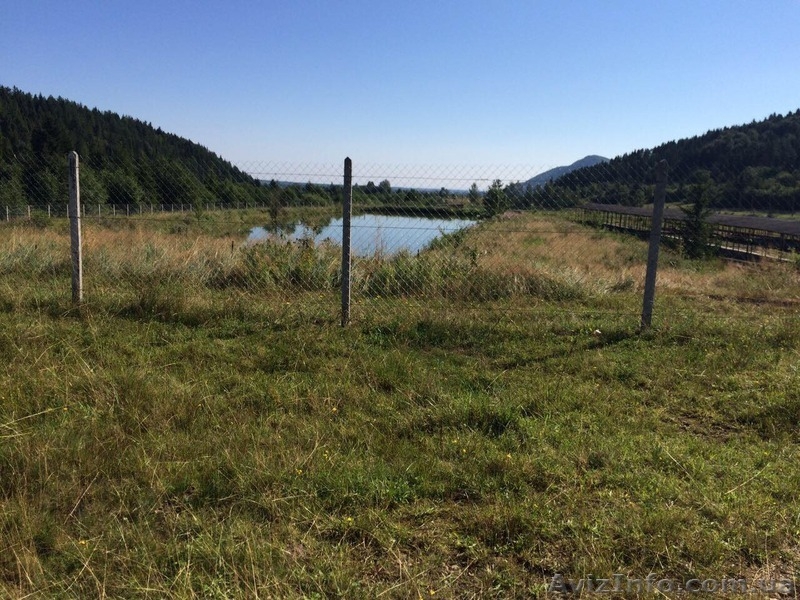 СРОЧНО!!! Продам форелевое хозяйство в Ивано-Франковская область. - <ro>Изображение</ro><ru>Изображение</ru> #5, <ru>Объявление</ru> #1563036