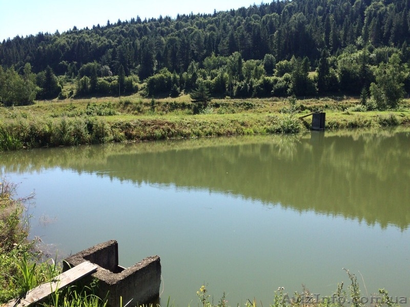 СРОЧНО!!! Продам форелевое хозяйство в Ивано-Франковская область. - <ro>Изображение</ro><ru>Изображение</ru> #8, <ru>Объявление</ru> #1563036