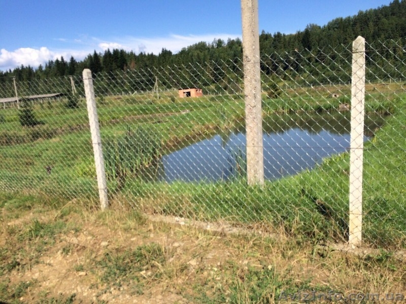 СРОЧНО!!! Продам форелевое хозяйство в Ивано-Франковская область. - <ro>Изображение</ro><ru>Изображение</ru> #3, <ru>Объявление</ru> #1563036