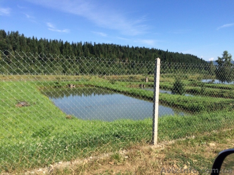 СРОЧНО!!! Продам форелевое хозяйство в Ивано-Франковская область. - <ro>Изображение</ro><ru>Изображение</ru> #2, <ru>Объявление</ru> #1563036