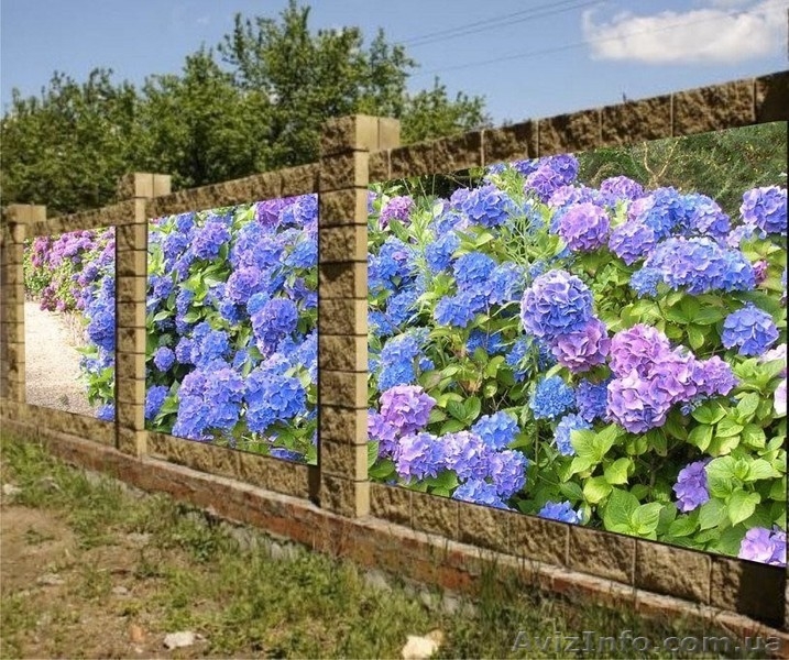 Декор фотосетка на забор, беседку,  фасадов стен, ландшафтный дизайн. - <ro>Изображение</ro><ru>Изображение</ru> #6, <ru>Объявление</ru> #1567073