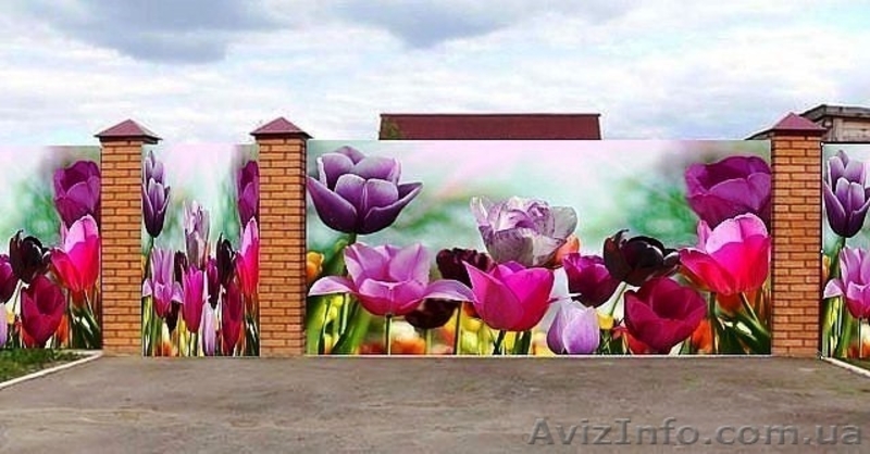 Декор фотосетка на забор, беседку,  фасадов стен, ландшафтный дизайн. - <ro>Изображение</ro><ru>Изображение</ru> #9, <ru>Объявление</ru> #1567073