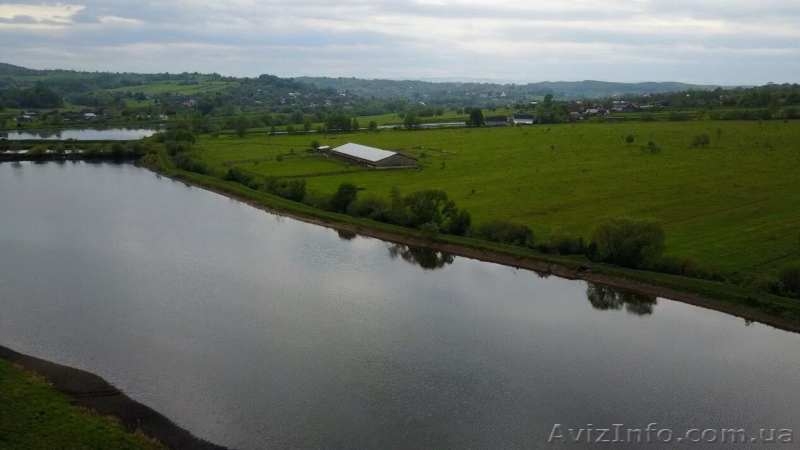 Ферма деревяна, 1600 кв метрів - <ro>Изображение</ro><ru>Изображение</ru> #3, <ru>Объявление</ru> #1572932