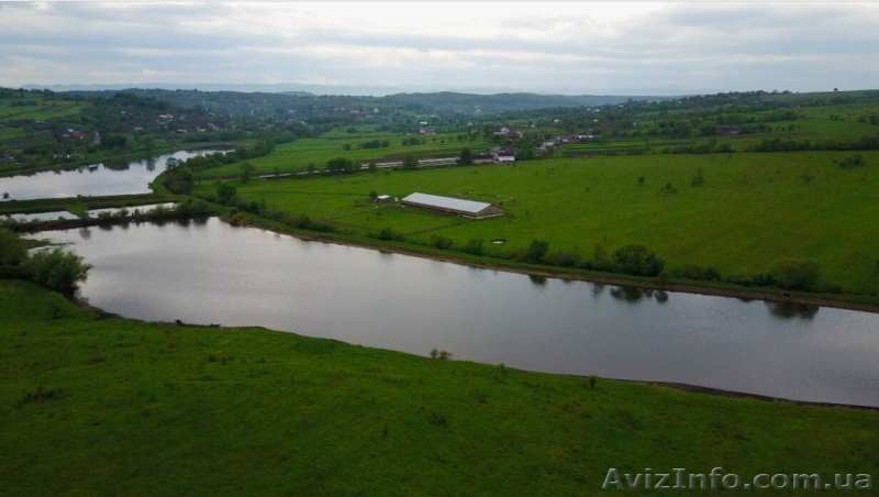 Ферма деревяна, 1600 кв метрів - <ro>Изображение</ro><ru>Изображение</ru> #2, <ru>Объявление</ru> #1572932