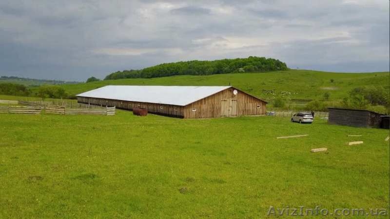 Ферма деревяна, 1600 кв метрів - <ro>Изображение</ro><ru>Изображение</ru> #1, <ru>Объявление</ru> #1572932
