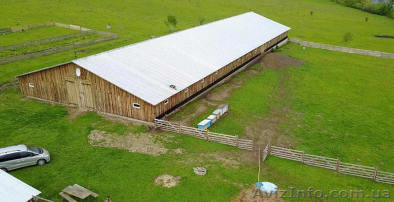 Продажа Ферми Виробниче Приміщення 1200 м2 Земельна Ділянка 8 Га - <ro>Изображение</ro><ru>Изображение</ru> #1, <ru>Объявление</ru> #1594747