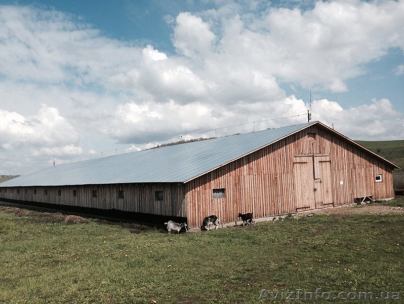 Продажа Ферми Виробниче Приміщення 1200 м2 Земельна Ділянка 8 Га - <ro>Изображение</ro><ru>Изображение</ru> #3, <ru>Объявление</ru> #1594747
