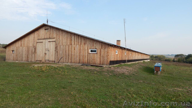 Продажа Ферми Виробниче Приміщення 1200 м2 Земельна Ділянка 8 Га - <ro>Изображение</ro><ru>Изображение</ru> #4, <ru>Объявление</ru> #1594747