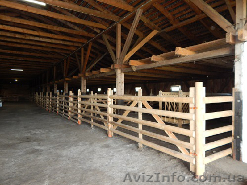 Продажа Ферми Виробниче Приміщення 1200 м2 Земельна Ділянка 8 Га - <ro>Изображение</ro><ru>Изображение</ru> #6, <ru>Объявление</ru> #1594747