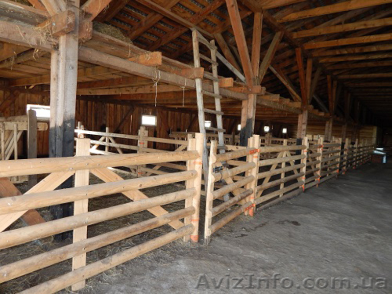 Продажа Ферми Виробниче Приміщення 1200 м2 Земельна Ділянка 8 Га - <ro>Изображение</ro><ru>Изображение</ru> #7, <ru>Объявление</ru> #1594747