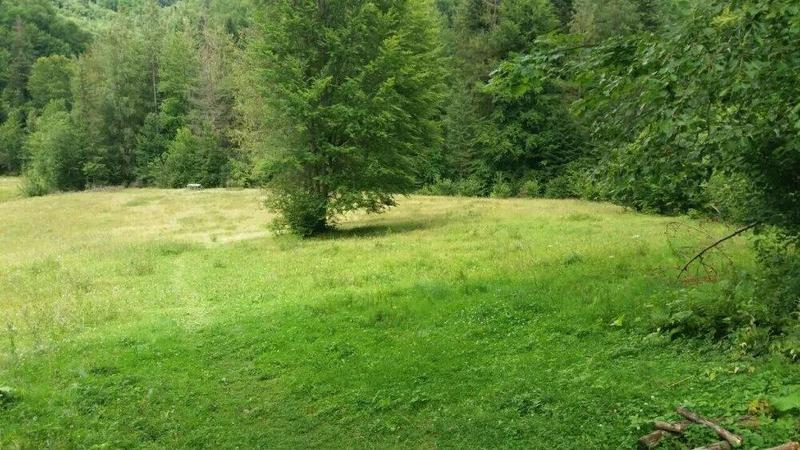 Продаж 1га с.Дора, Яремча, для будівництва - <ro>Изображение</ro><ru>Изображение</ru> #1, <ru>Объявление</ru> #1666328