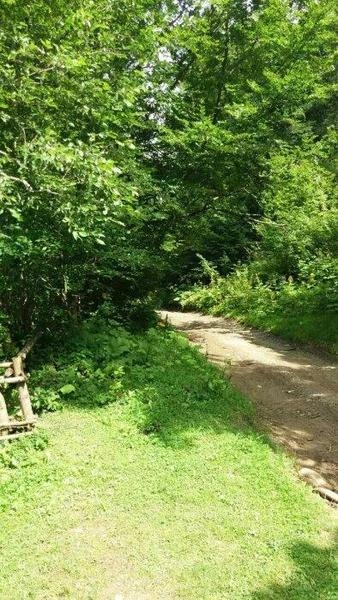 Продаж 1га с.Дора, Яремча, для будівництва - <ro>Изображение</ro><ru>Изображение</ru> #2, <ru>Объявление</ru> #1666328