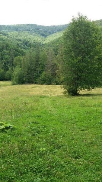 Продаж 1га с.Дора, Яремча, для будівництва - <ro>Изображение</ro><ru>Изображение</ru> #3, <ru>Объявление</ru> #1666328