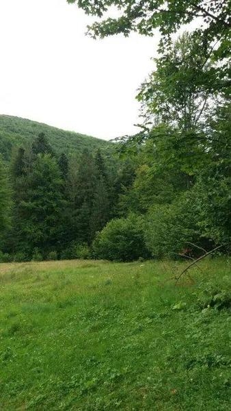 Продаж 1га с.Дора, Яремча, для будівництва - <ro>Изображение</ro><ru>Изображение</ru> #4, <ru>Объявление</ru> #1666328