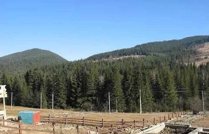 Участок возле ГК Буковель, с. Микуличин. Земля в Карпатах - <ro>Изображение</ro><ru>Изображение</ru> #4, <ru>Объявление</ru> #1666421