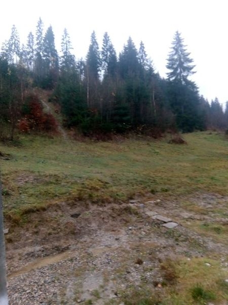 Продається 1.18га с.Поляниця - <ro>Изображение</ro><ru>Изображение</ru> #2, <ru>Объявление</ru> #1666633