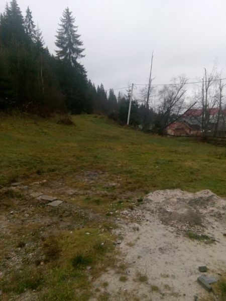 Продається 1.18га с.Поляниця - <ro>Изображение</ro><ru>Изображение</ru> #3, <ru>Объявление</ru> #1666633