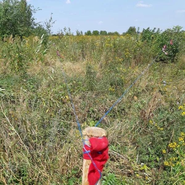 Земельна ділянка в м-н Опришівці - <ro>Изображение</ro><ru>Изображение</ru> #2, <ru>Объявление</ru> #1666565