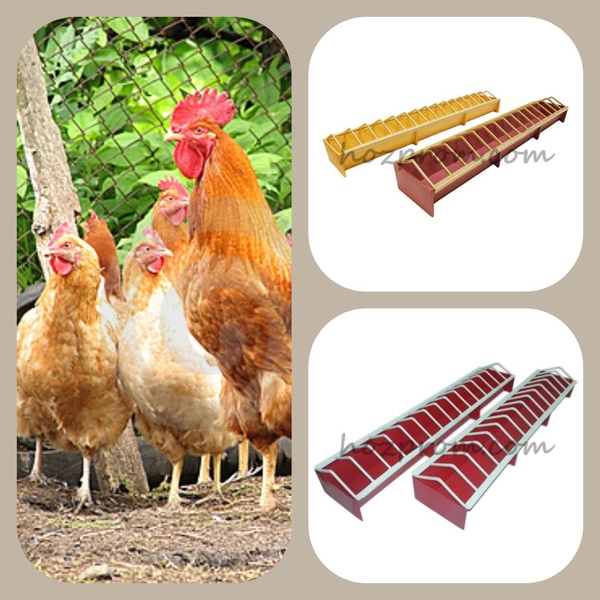 Лотковая кормушка для домашней птицы от украинского производителя - <ro>Изображение</ro><ru>Изображение</ru> #1, <ru>Объявление</ru> #1077367