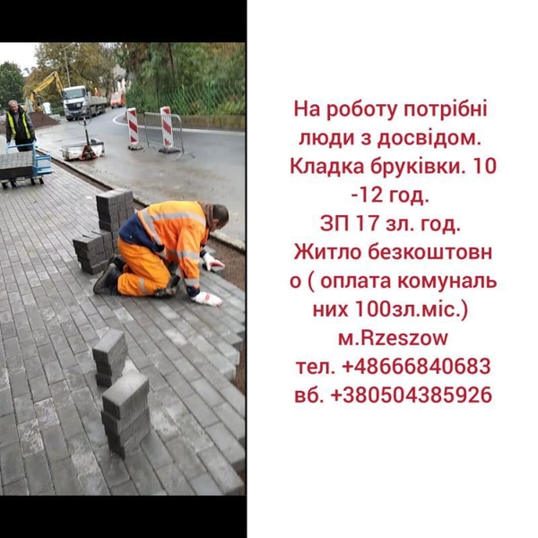 Робота в Польщі: Вроцлав, Ополе, Жешув, Нава Суль - <ro>Изображение</ro><ru>Изображение</ru> #7, <ru>Объявление</ru> #1714448